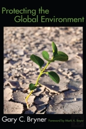 Protecting The Global Environment