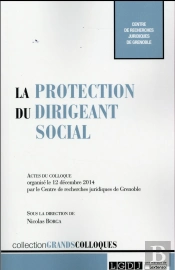 Protection Du Dirigeant Social (La)