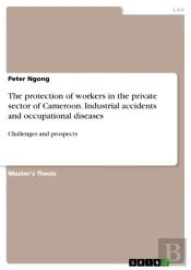 Protection Of Workers In The Private Sector Of Cameroon. Industrial Accidents And Occupational Diseases