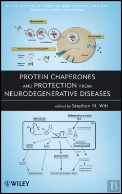 Bertrand.pt - Protein Chaperones And Protection From Neurodegenerative Diseases