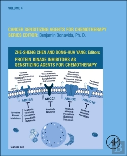 Bertrand.pt - Protein Kinase Inhibitors As Sensitizing Agents For Chemotherapy