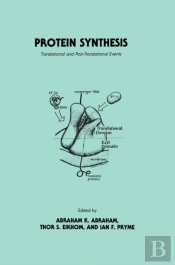 Protein Synthesis