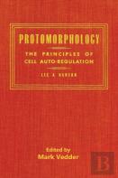 Protomorphology