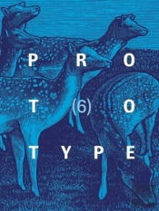 Prototype 6