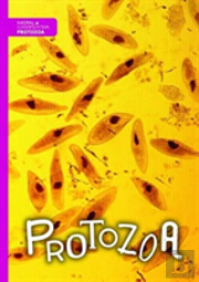 Protozoa
