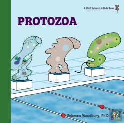 Bertrand.pt - Protozoa