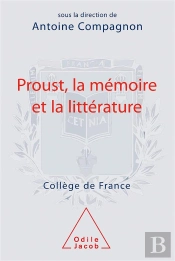 Proust, La Mémoire Et La Littérature