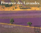 Provence Des Lavandes