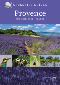 Bertrand.pt - Provence