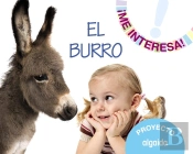 Proyecto 'El Burro'