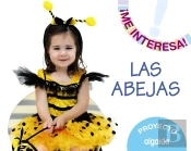 Proyecto 'Las Abejas'