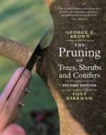 Pruning Of Trees, Shrubs And Conifers