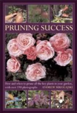 Bertrand.pt - Pruning Success