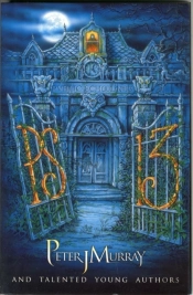 Ps 13