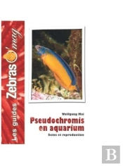 Pseudochromis En Aquarium