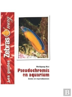 Bertrand.pt - Pseudochromis En Aquarium