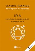 Psicologia De Los Eneatipos: Ira