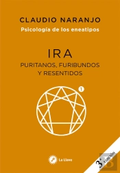 Psicologia De Los Eneatipos: Ira