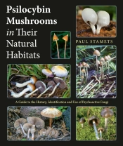 Psilocybin Mushrooms In Their Natural Habitats