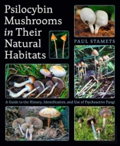Psilocybin Mushrooms In Their Natural Habitats
