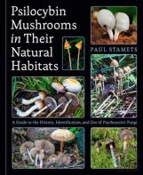 Psilocybin Mushrooms In Their Natural Habitats