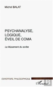 Psychanalyse Logique Eveil De Coma ; Le Musement Du Scribe