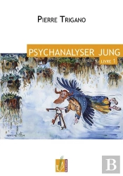 Psychanalyser Jung ; Livre 1
