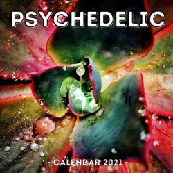Bertrand.pt - Psychedelic Calendar 2021