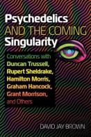 Psychedelics And The Coming Singularity