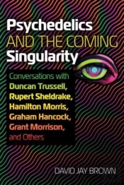 Psychedelics And The Coming Singularity