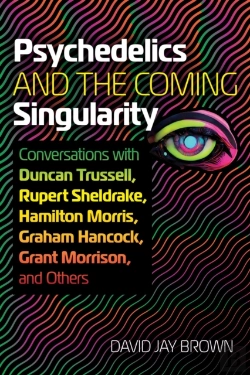 Bertrand.pt - Psychedelics And The Coming Singularity
