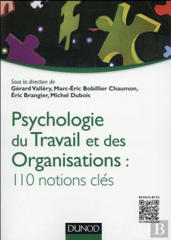 Bertrand.pt - Psychologie Du Travail Et Des Organisations ; 100 Notions Clés