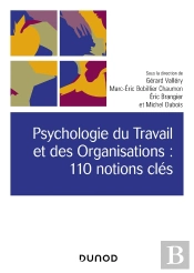 Psychologie Du Travail Et Des Organisations ; 110 Notions Clés (2e Édition)