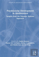 Psychosocial Development In Adolescence
