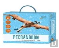 Pteranodon Dinosaurios 3d