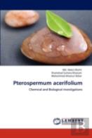 Pterospermum Acerifolium