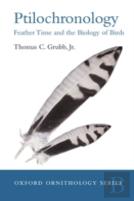 Ptilochronology