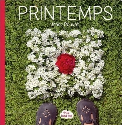 Bertrand.pt - P'Tit Land Art : Printemps