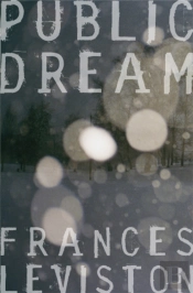 Public Dream