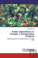 Public Expenditure In Punjab