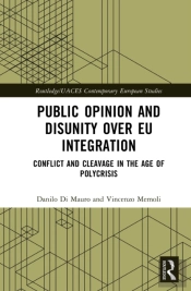 Public Opinion And Disunity Over Eu Integration