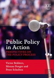 Public Policy In Action