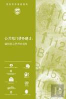 Public Sector Debt Statistics