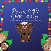 Pudding And The Christmas Moon