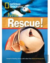 Puffin Rescue