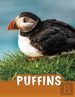 Puffins