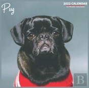 Pug Calendar 2022