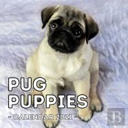 Pug Puppies Calendar 2021