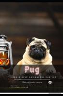 Pug