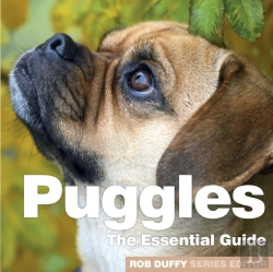 Bertrand.pt - Puggles